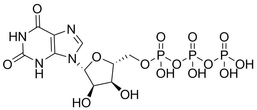 Xanthosine 5′-Triphosphate